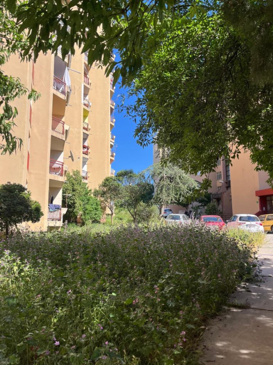 Vidici zarasli, trava do pasa: Kosilice izašle na teren kod 'Lepe Brene'