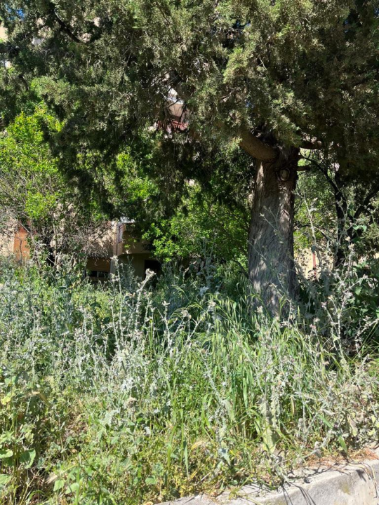 Vidici zarasli, trava do pasa: Kosilice izašle na teren kod 'Lepe Brene'