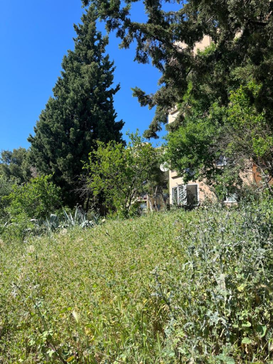 Vidici zarasli, trava do pasa: Kosilice izašle na teren kod 'Lepe Brene'