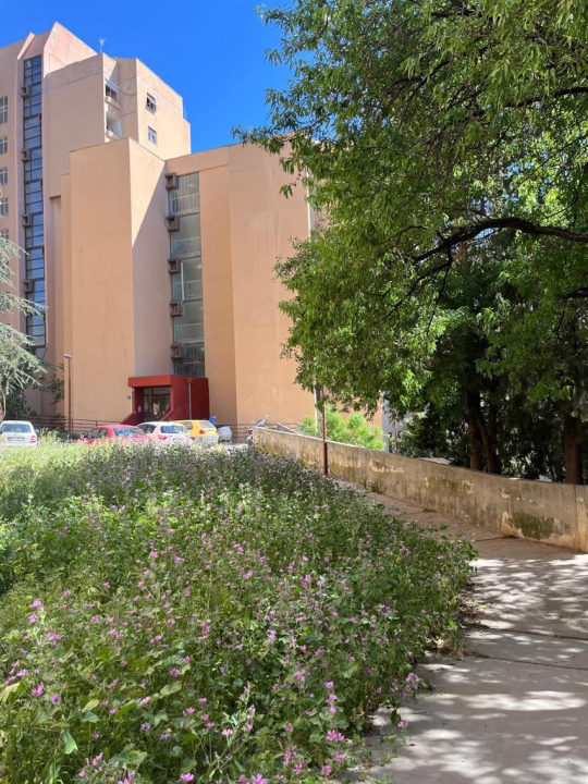 Vidici zarasli, trava do pasa: Kosilice izašle na teren kod 'Lepe Brene'