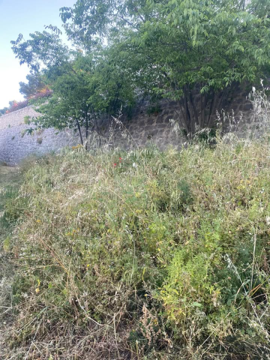 'Zeleni grad' u pogonu: Nakon Vidika, stižu pritužbe i na zapuštenost oko Baronea i Šubićevog šetališta