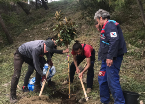 Uključite se u akciju čišćenja Robertinog parka u šibenskom Docu