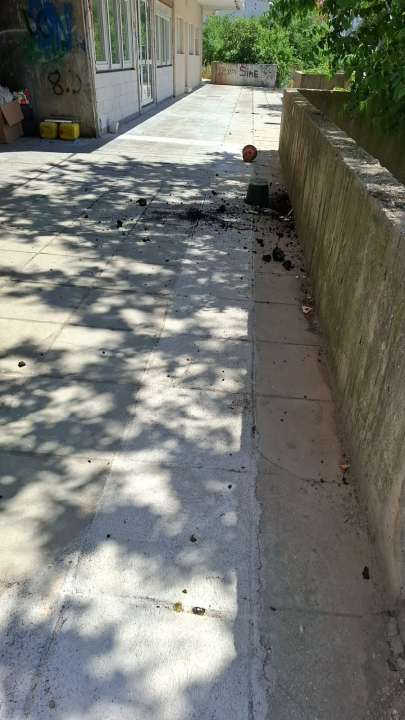 Pitari ugrozili prolaznike i djecu: Apel građana nakon potencijalno opasne situacije ispred vrtića