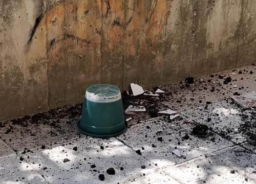 Fotografija 2 - Pitari ugrozili prolaznike i djecu: Apel građana nakon potencijalno opasne situacije ispred vrtića