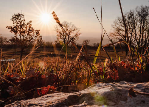 Fotografija 11 - Dan šibensko-kninske županje: Iznimna prirodna ljepota, bogata kulturna baština i povijest