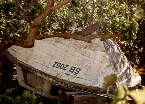 Fotografija 10 - Donje Ražine – ogledalo šibenske industrijske prošlosti