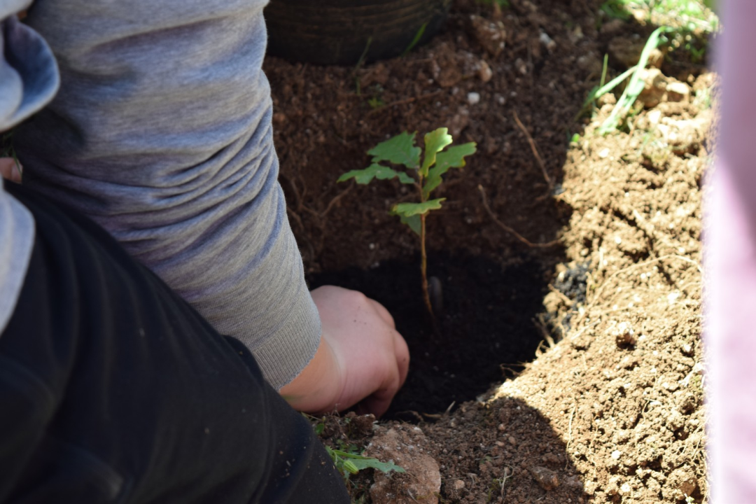 U NP 'Krka' formirana prva grupa mladih čuvara prirode