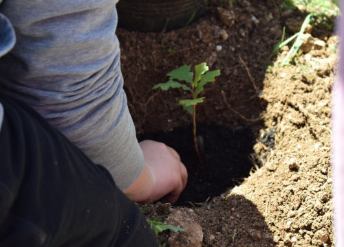 Fotografija 8 - U NP 'Krka' formirana prva grupa mladih čuvara prirode
