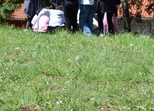 Fotografija 3 - U NP 'Krka' formirana prva grupa mladih čuvara prirode