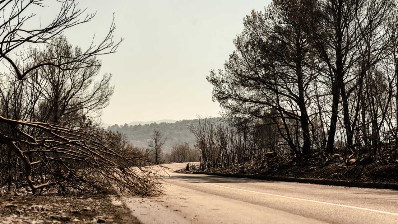 Hrvatske šume s ciljem prevencije požara rasporedile 220 kamera na 110 lokacija
