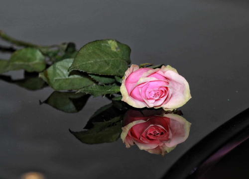 Fotografija 1 - Emotivna komemoracija za Radu Perišu u Arsenu okupila brojne prijatelje i suradnike