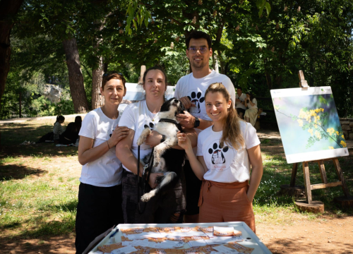 Dalmare shopping centar i Šibenske šape u zajedničkoj akciji: Kombi spasa za napuštene životinje