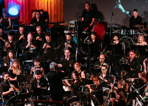 Fotografija 11 - ŠNG svira Arsena