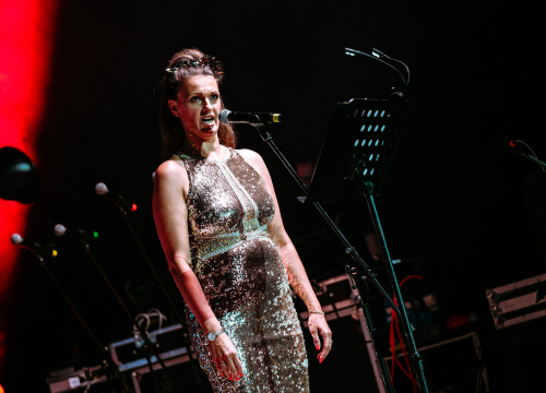 Fotografija 14 - ŠNG svira Arsena