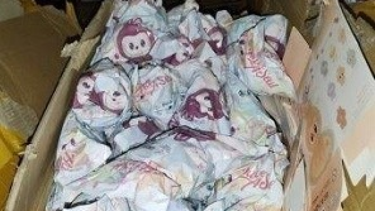 Carinici kod Kistanja zaplijenili 2.600 e-cigareta i hrpu igračaka