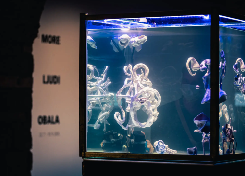 U četvrtak otvorenje izložbe 'More, ljudi, obala'