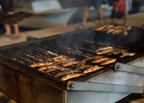 Fotografija 1 - Ribarska fešta se vraća u Pirovac jača nego ikad