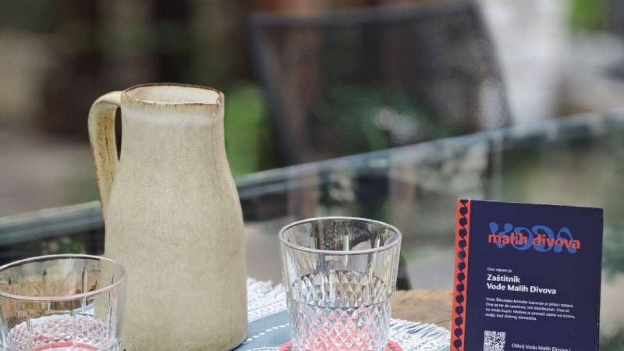 Lokalna inicijativa kao globalni uzor: Voda Malih Divova osvojila prestižnu međunarodnu nagradu
