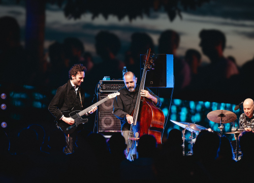 Fotografija 10 - Rasprodan koncert Juliana Lagea oduševio publiku na Barone Jazz Festivalu