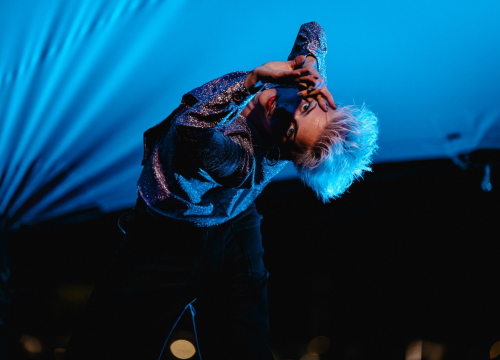 Fotografija 13 - Šest dana u ritmu plesa: Impresivne izvedbe kod katedrale otvorile 14. Šibenik Dance Festival