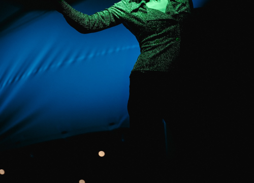 Fotografija 12 - Šest dana u ritmu plesa: Impresivne izvedbe kod katedrale otvorile 14. Šibenik Dance Festival