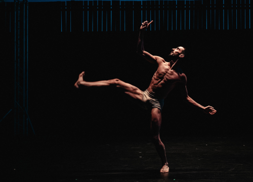 Večer u znaku fantastične plesne energije: Publika je gromoglasnim pljeskom nagradila moćan, hipnotizirajući nastup Gauthier Dance Company