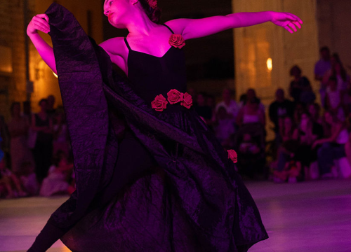 Fotografija 29 - Govor tijela jači od riječi: Večer snažnih poruka na Šibenik Dance Festivalu