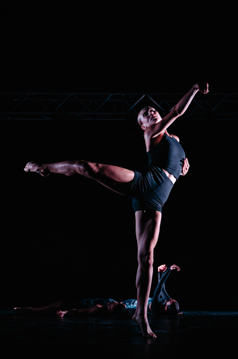 Govor tijela jači od riječi: Večer snažnih poruka na Šibenik Dance Festivalu