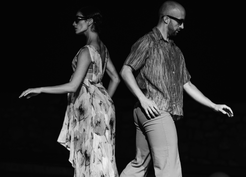 Fotografija 8 - Govor tijela jači od riječi: Večer snažnih poruka na Šibenik Dance Festivalu