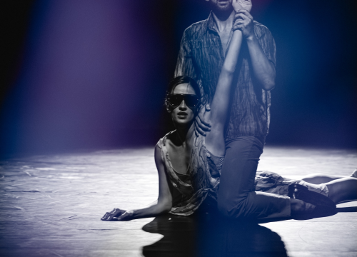 Fotografija 3 - Govor tijela jači od riječi: Večer snažnih poruka na Šibenik Dance Festivalu