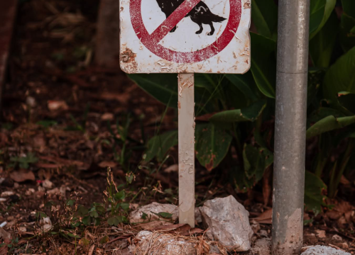 Fotografija 32 - Baldekin 2 i 3: Simbol šibenskog duha, spoj sporta, obrazovanja i sjećanja