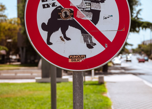 Fotografija 18 - Baldekin 2 i 3: Simbol šibenskog duha, spoj sporta, obrazovanja i sjećanja