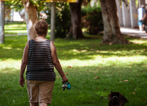 Fotografija 34 - Baldekin 2 i 3: Simbol šibenskog duha, spoj sporta, obrazovanja i sjećanja