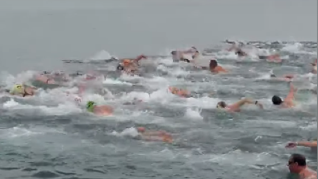 Poznati rezultati '15. Plivačkog maratona u Raslini', dominacija porečkih natjecatelja
