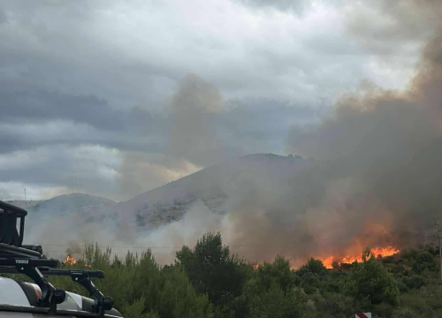 Fotografija 4 - Izbio požar u Jasenovu: Više vatrogasnih postaja izašlo na teren