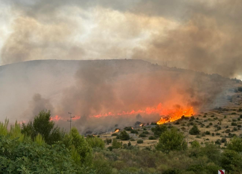 Fotografija 8 - Izbio požar u Jasenovu: Više vatrogasnih postaja izašlo na teren