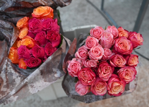 Fotografija 60 - Održana ženska veslačka regata u Betini: Pogledajte koje su ekipe bile najbolje