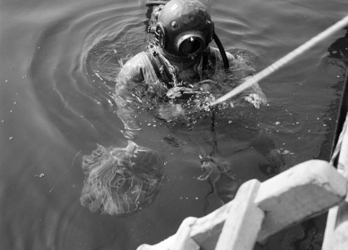 Fotografija 11 - 'Botnica' s okusom prošlosti: Krapanjska priča o hobotnici i ljudima