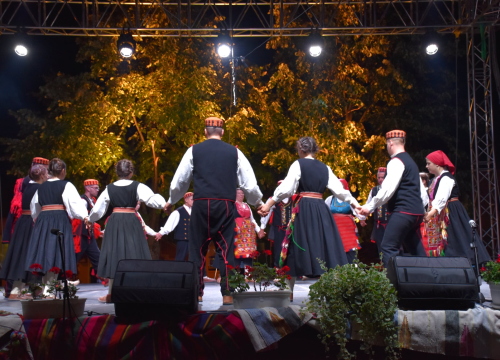 Fotografija 1 - Članovi KUD-a 'Zvona Zagore' iz Mirlovića u Posušju predstavili raskoš svojih plesova, nošnji, napjeva i običaja