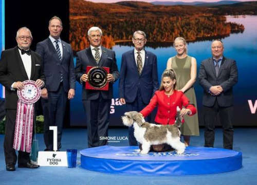 Drniška ljepotica Meghan osvojila titulu najljepšeg psa na svijetu