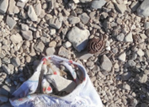 Fotografija 8 - FOTO Fekalije po zidu, zaštopani zahodi, tamponi u okvirima, razbacano smeće – s tim se na Rezalištu svakodnevno bore djelatnici Zelenog grada