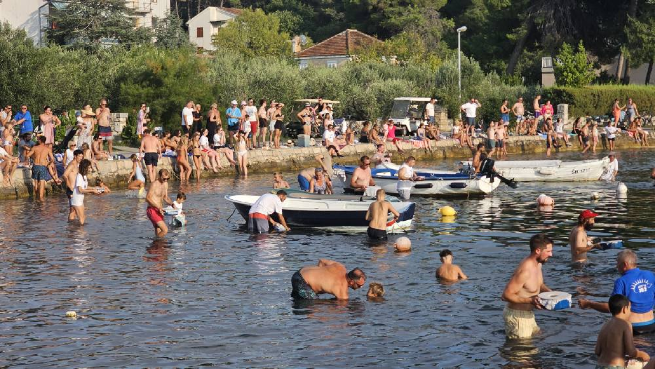 Lov na ciple na teću