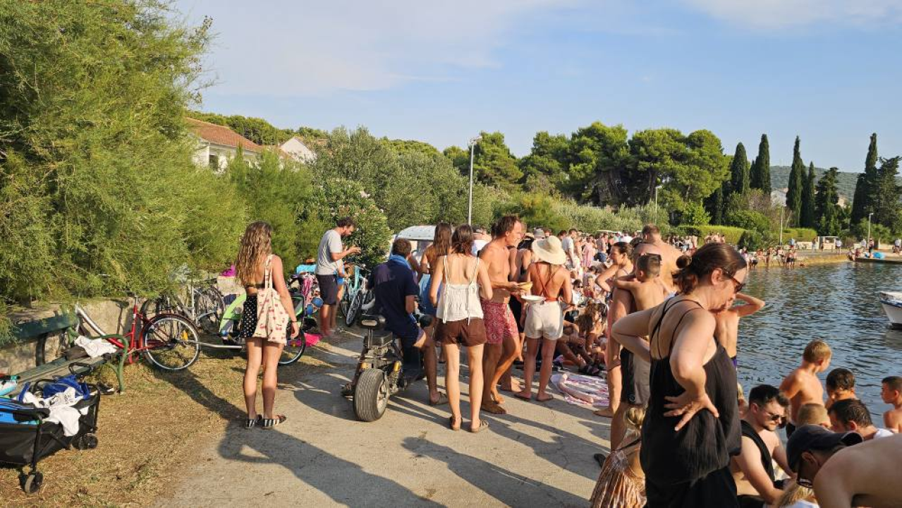 Lov na ciple na teću