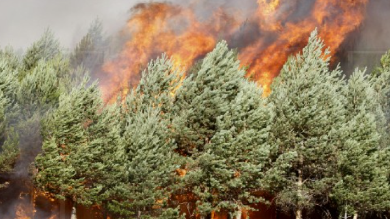 Španjolska uključila vojsku u borbu s 20 požara, temperature ne padaju