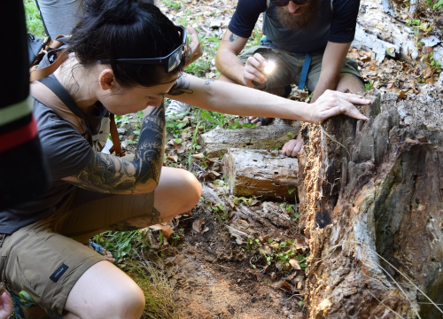 Fotografija 7 - Mladi čuvari prirode okupili se u NP Krka na edukativnoj radionici