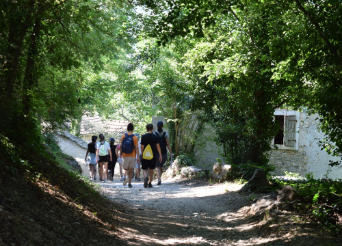 Fotografija 8 - Mladi čuvari prirode okupili se u NP Krka na edukativnoj radionici