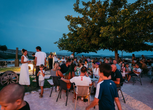Fotografija 1 - Bumbarovo ljeto prikazano u Šibeniku