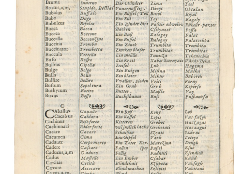 Fotografija 3 - Remek-djelo Šibenčanina Fausta Vrančića: Na današnji dan objavljen prvi riječnik hrvatskog jezika