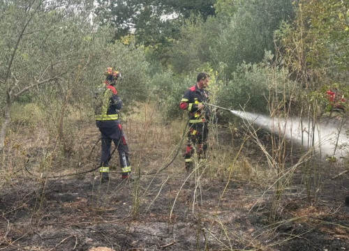 Požar kod Dubravica lokaliziran, dogašavanje je u tijeku