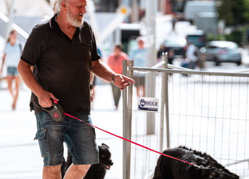 Fotografija 14 - FOTO Đir po gradu, petak 29. kolovoza